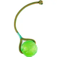 Starmark Swing &amp; Fling Kauball