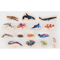 TickiT Wooden Sea Life Blocks, 0 Jahr(e), 15 Stück(e), Holz