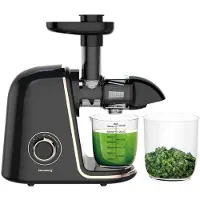 Klausberg Slow Juicer 150W für Obst und Gemüse KALTPRESSE KB-7867