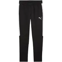 Puma Jogginghose Team Evostripe
