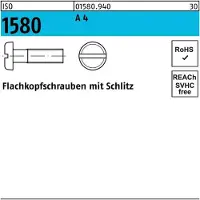 Reyher DIN 85 / ISO 1580 - Edelstahl A4 - M 6x50 - Flachkopfschrauben mit Schlitz - Kleinpaket