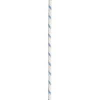 Edelrid Prostatic Synctec 10,5mm - Statikseil - snow - 50m