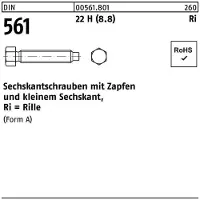 Reyher DIN 561 - Stahl 8.8 blank 22H - AM 24x120 - Sechskantschraube mit Zapfen und Rille