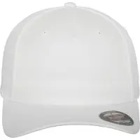 Flexfit Flex Cap "Unisex 5 Panel"