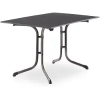 Sieger 3160-55 Klapptisch vivodur 120x80 cm H49787