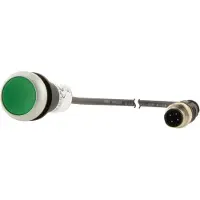 Eaton 181079 Drucktaste, Classic, flach, rastend, 1 S, grün, Kabel (schwarz) mit M12A-Stecker, 4-polig, 1 m C22-DR-G-K10-P5
