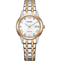 Citizen Damenuhr EcoDrive FE1246-85A