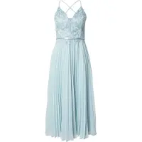 Vera Mont Abendkleid "Damen mit Stickerei" Ohne Tasche Plissee