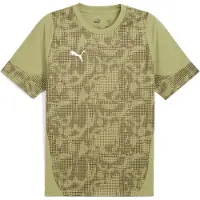 Puma teamCUP Training Jersey , Größe:M, Farben:Calming Green-Silver-Olive