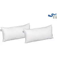 Beco Microfaserkissen "2-er Pack Kissen MF 50 glatt", weiß, B:40cm L:60cm, Obermaterial: 100% Polyester, Kopfkissen, Microfaserkissen, Kissen Set in 4 Größen