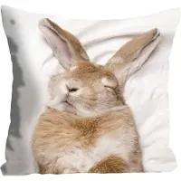 Queence Dekokissen "Ketut", braun (braun, bedruckt), B:40cm L:40cm, Polyester, Dekokissen_Sitzkissen_Kissenhüllen, Dekokissen, mit einem schlafenden Hasen