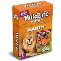 Identity Games 01589, Kartenspiel, Trivia, 6 Jahr(e)