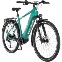 Fischer E-Bike FAHRRAD "TERRA 4.0i 630 55" Gr. 55, grün (weiß, neutral), Elektrofahrräder, 55cm, 29 Zoll (73,66cm), E-Bike, Pedelec, Elektrofahrrad für Damen und Herren