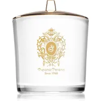 Tiziana Terenzi Spicy Snow Duftkerze mit Holzdocht 500 g