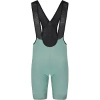 Bioracer Icon Seasonal Trägerhose Grün M Herren Grün M