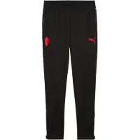 Puma Ac Milan 25/26 Training Hosen