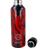 Stor Dragon Ball Z Stainless Steel Flasche 515ml