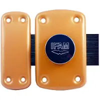 Ifam B5/50 Schraube Mit 3 Schlüsseln 110x9 Mm Golden Golden One Size