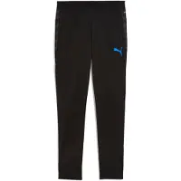 Puma Individualcup Trainingshose