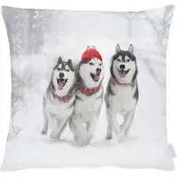 Apelt Dekokissen "3701", weiß (weiß, bedruckt), B:45cm H:5cm L:45cm, Baumwolle, Polyester, Dekokissen_Sitzkissen_Kissenhüllen, Dekokissen