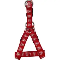 Athletic Club Hundegeschirr