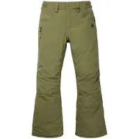 Burton Barnstorm Hosen