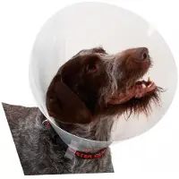 Kruuse Transparent Classic Collar - Größe 6