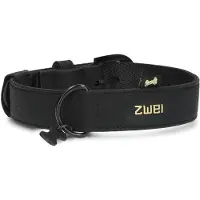 Zwei Leo Le15 Führleine