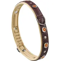 Ferplast Circus 25 Mm 51-49 Cm Hundehalsband