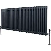 MonsterShop Traditioneller 2-Spalten-Heizkörper - 600 x 1462 mm - Anthrazitgrau