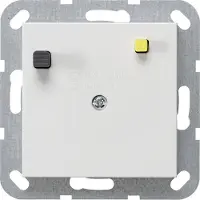 Gira FI-Schutzschalter A 2p System 55 230V 266427
