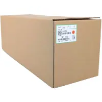 Ricoh Imaging D2960123 Druckertrommel