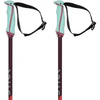 Völkl Phantastick 18mm Stöcke