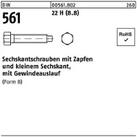 Reyher DIN 561 - Stahl 8.8 blank 22H - BM 30x160 - Sechskantschraube mit Zapfen und Gewindeauslauf
