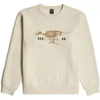 G-Star für Herren. D27095-D733-1603 Laufhund Rücken beige Pullover (S), Lässig, Baumwolle