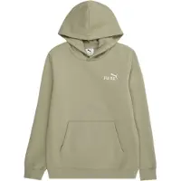 Puma ESS 2 COLOR Small No. 1 Logo Hoodie FL B