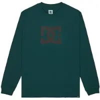 Dc-shoes Langarmshirt "DC Star Hls", Herren, Gr. L, grün (ponderosa pine), Obermaterial: 75% Baumwolle, 25% Baumwolle., Shirts Langarmshirt