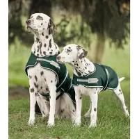 Waldhausen Regen-Hundedecke, tannengrün, 40 cm
