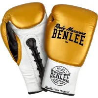 Benlee Newton Lederboxhandschuhe