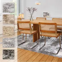 Astra Hochflor-Teppich "Paulie 251", rechteckig, 25 mm Höhe, Langflor, Shaggy, Wohnzimmer, Schlafzimmer