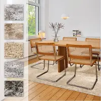 Astra Hochflor-Teppich "Paulie 250", rechteckig, 25 mm Höhe, weicher Langflor, Shaggy, Wohnzimmer, Schlafzimmer