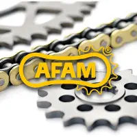 DC AFAM AFAM Kit Stahl passend für Kawasaki ZZR 1400 ZX 1400 ABS 06-11 17-41-116 A530XHR2-G Niet