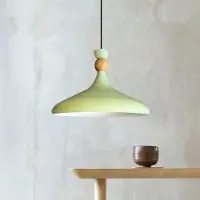 Bamyum Pendelleuchte Minzgrün Ø35 cm Metall E27 Moderne Lampe, Ohne Leuchtmittel