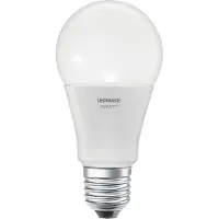 Ledvance 00217479, Intelligentes Leuchtmittel, WLAN, Edelstahl, Weiß, Integrierte LED, E27, A-Form