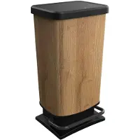 Rotho Abfalleimer 40 L Paso Holz