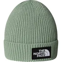 The North Face Kids TNF Logo Box Cuffed Beanie slate moss (BQ1) OS