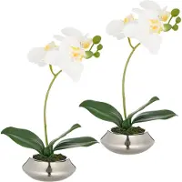 Creativ Green Kunstorchidee "Orchidee Phalaenopsis" mit dauerhafter Blütenpracht