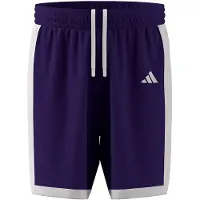 Adidas Herren Short Pulse Speed Bball Shorts KC6960 XL - Team Colleg Purple/White - XL