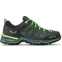 Salewa Mountain Trainer Lite Gore-tex Wanderschuhe
