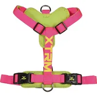 Nayeco X-trm Cronos Neon Flash Hundegeschirr